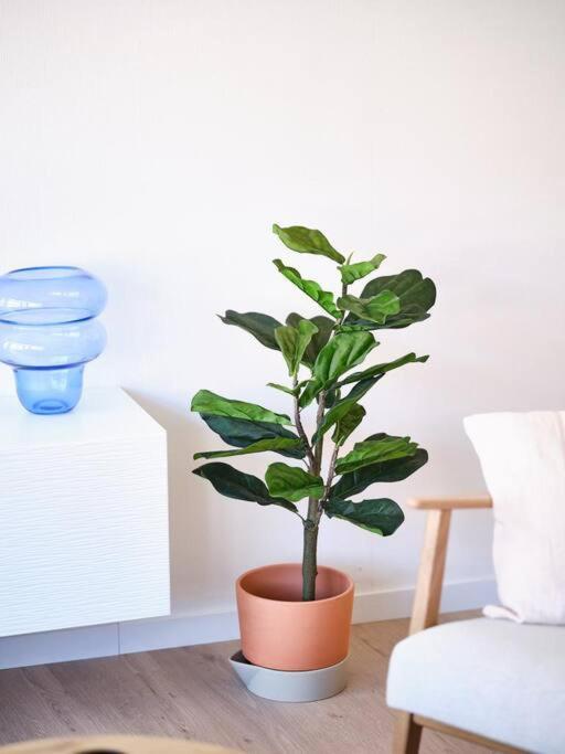 Hugo By The Harbor, Light-Filled And Centrally Located Apartment - Free Parking Ostende Extérieur photo